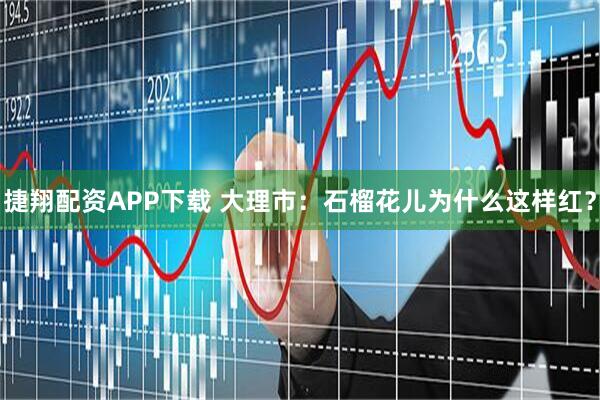 捷翔配资APP下载 大理市：石榴花儿为什么这样红？